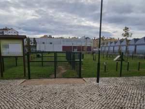 A aventura de uma cadela que fugiu do parque canino para a escola Jácome Ratton 462540763 1727410621377373 6792417991538372179 n