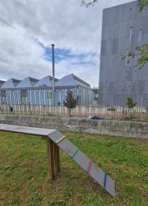 A aventura de uma cadela que fugiu do parque canino para a escola Jácome Ratton 462545858 545387191689181 9127426354756172838 n