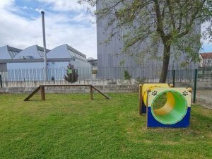 A aventura de uma cadela que fugiu do parque canino para a escola Jácome Ratton 462562816 1206793990420170 6510144586073691648 n