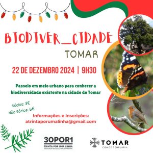 Agenda para o fim de semana 22 12 554307988197930 7248396110399679485 n