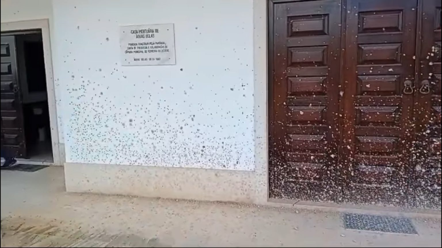 Andaram a fazer piões em frente à casa mortuária de Águas Belas agus belas