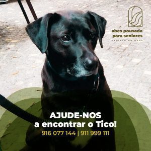 Mascote desapareceu da pousada sénior de Castelo do Bode (Atualização)* apelo 7756847866797 4491150835544204271 n