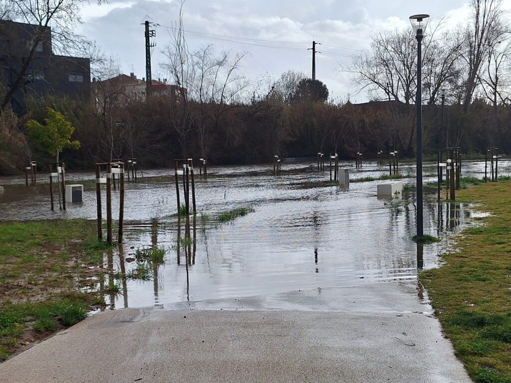 Flecheiro inundado (c/ fotos e vídeo) flecheiro 20250122 101333