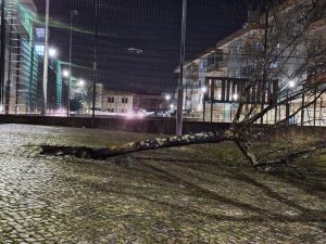 Temporal faz cair árvores e estruturas mau tempo 20250129 194404