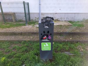 Dejetos de cães amontoados no parque canino (c/ vídeo) parque canino 20250112 103320