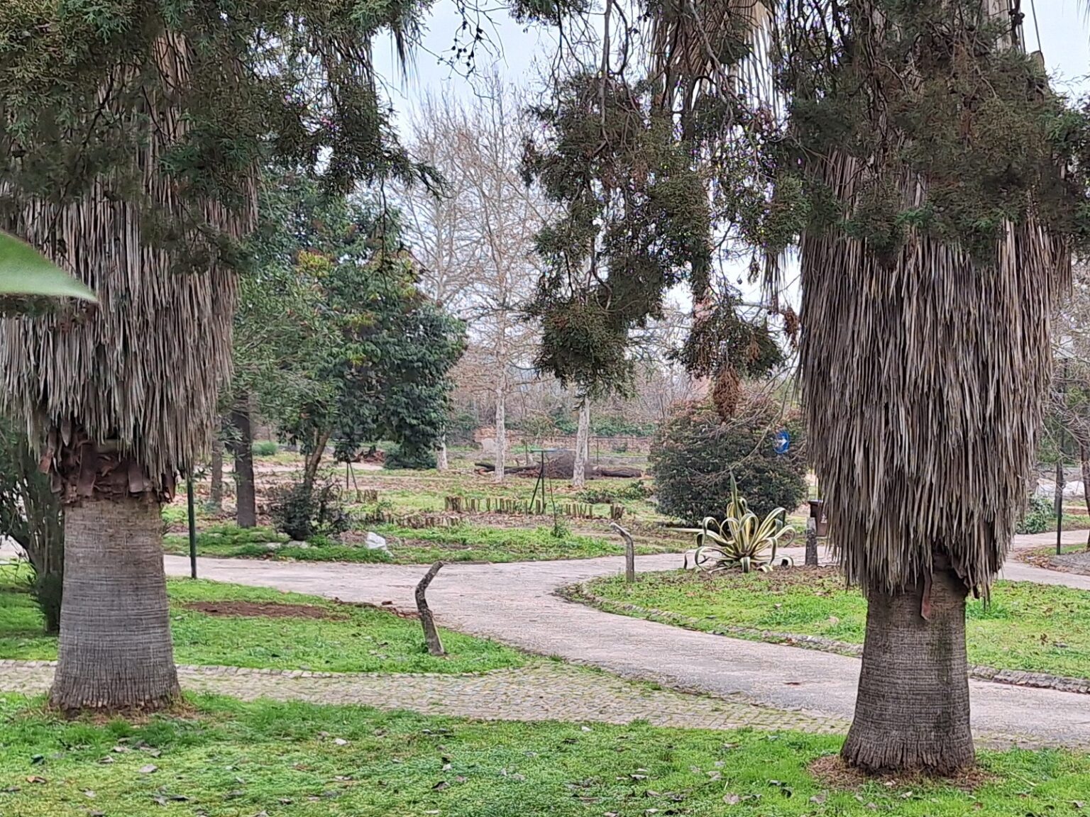parque caravanismo 20250119 100340