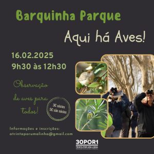 Sugestões para o fim de semana 16 2 4933484135380 6343833070618469428 n