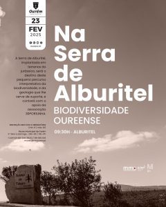 Sugestões para o fim de semana 23 2 31858992708532 6189872455469156711 n