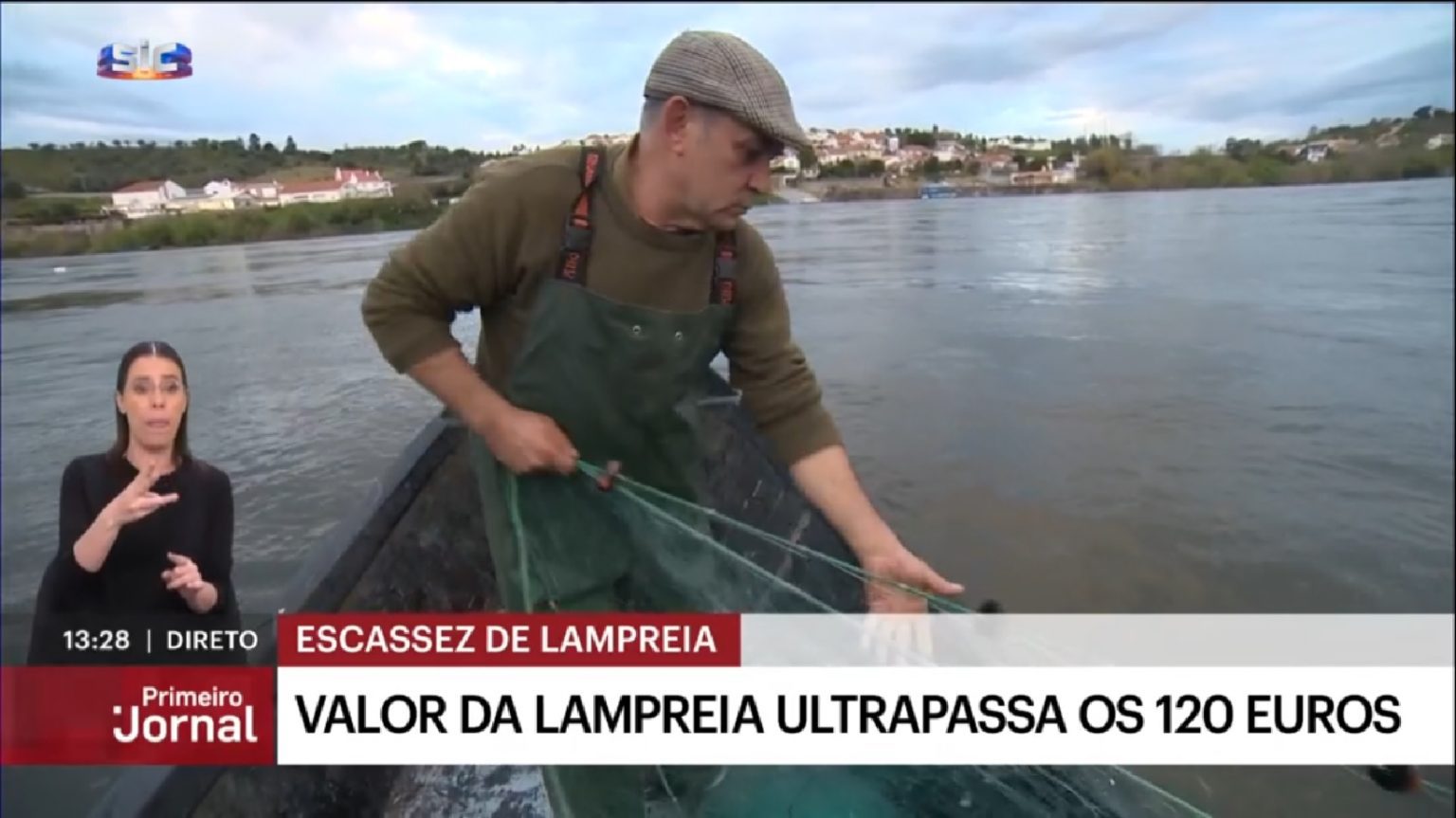 Vai uma dose de lampreia a 70 euros? lampreia 7890