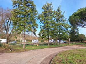 Antigo parque de campismo de Tomar com menos verde (c/ fotos) parque campismo caravanismo 20250204 094214