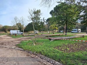 Antigo parque de campismo de Tomar com menos verde (c/ fotos) parque campismo caravanismo 20250204 094252