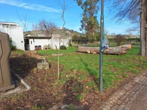 Antigo parque de campismo de Tomar com menos verde (c/ fotos) parque campismo caravanismo 20250204 094456
