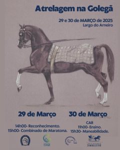 Propostas para o fim de semana 29 3 1169111994376 6122059063334618395 n