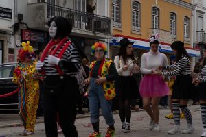 Mais fotos do carnaval de Tomar DSC07284