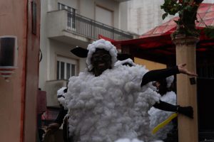 Mais fotos do carnaval de Tomar DSC07333
