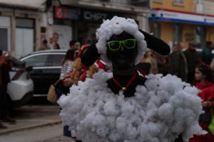 Mais fotos do carnaval de Tomar DSC07350