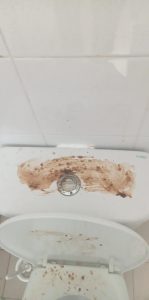 Espalharam fezes nos sanitários públicos junto ao estádio Messenger creation F9E7720A 23BD 4D72 B351 A0B4B1DF8C5F