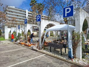 Feira “Tomar Alternativo” estreia-se no mercado (c/ fotos e vídeo) alternativo 20250316 112052