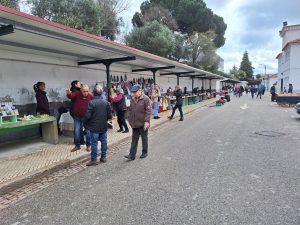 Feira “Tomar Alternativo” estreia-se no mercado (c/ fotos e vídeo) alternativo 20250316 112247