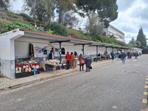 Feira “Tomar Alternativo” estreia-se no mercado (c/ fotos e vídeo) alternativo 20250316 112333