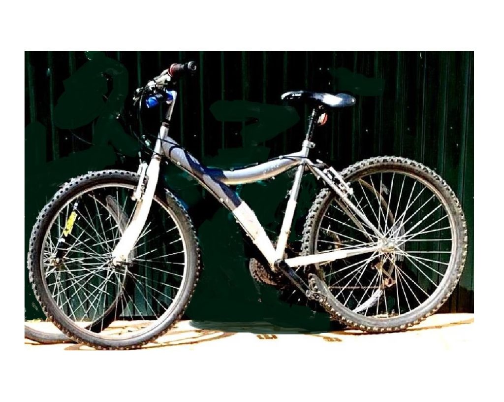 apelo bicicleta 1