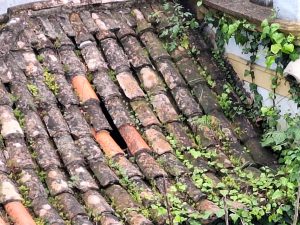 Ermida de S. Gregório tem o telhado a cair ermida capela de S. Gregorio 20250325 143733