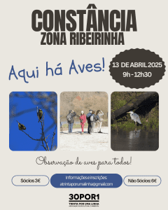 Sugestões para o fim de semana 13 4 AquihaAves ConstanciaAbr2025
