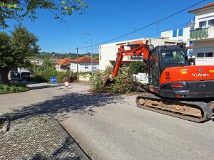 Um dia triste para Tomar e para a natureza (c/ fotos e vídeo) 20250424 104952
