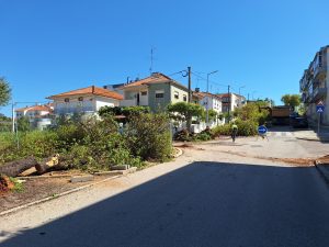Um dia triste para Tomar e para a natureza (c/ fotos e vídeo) 20250424 105409