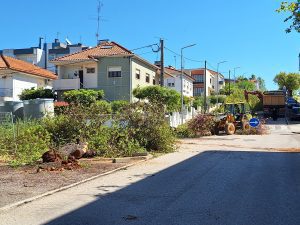 Um dia triste para Tomar e para a natureza (c/ fotos e vídeo) 20250424 110227 1