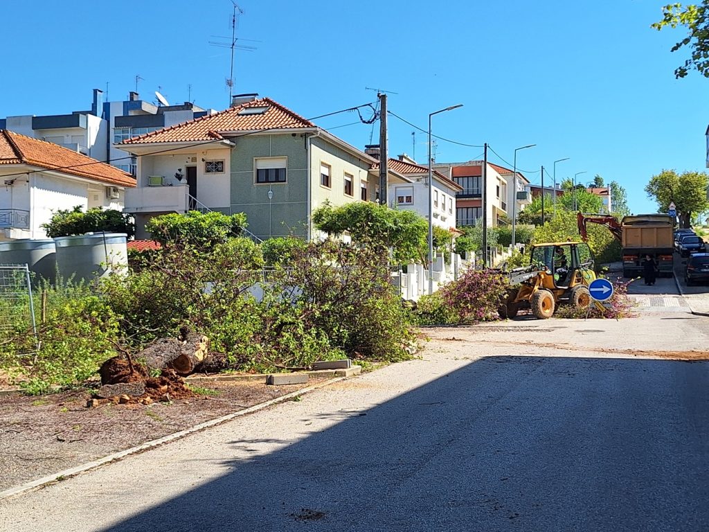 Crueldade e prepotência em Tomar: quando a Câmara vira as costas à natureza, aos cidadãos e à lei 20250424 110227