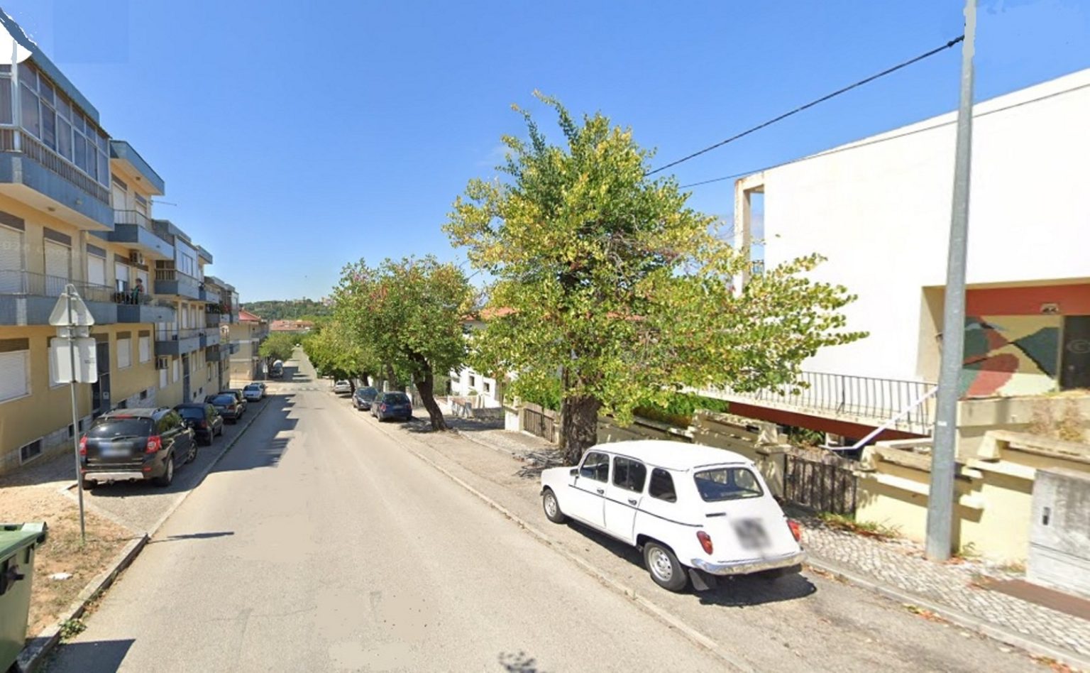 arvores rua egas moniz