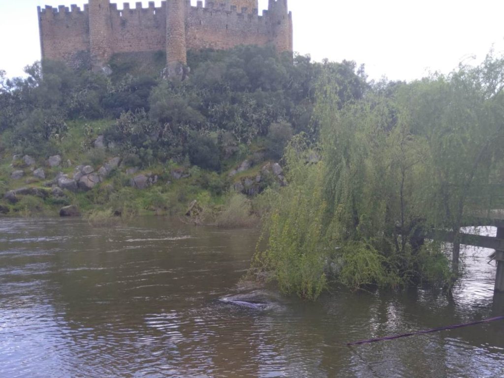 carro tejo IMG 20250422 WA0016