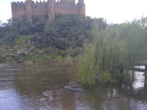 carro tejo IMG 20250422 WA0016