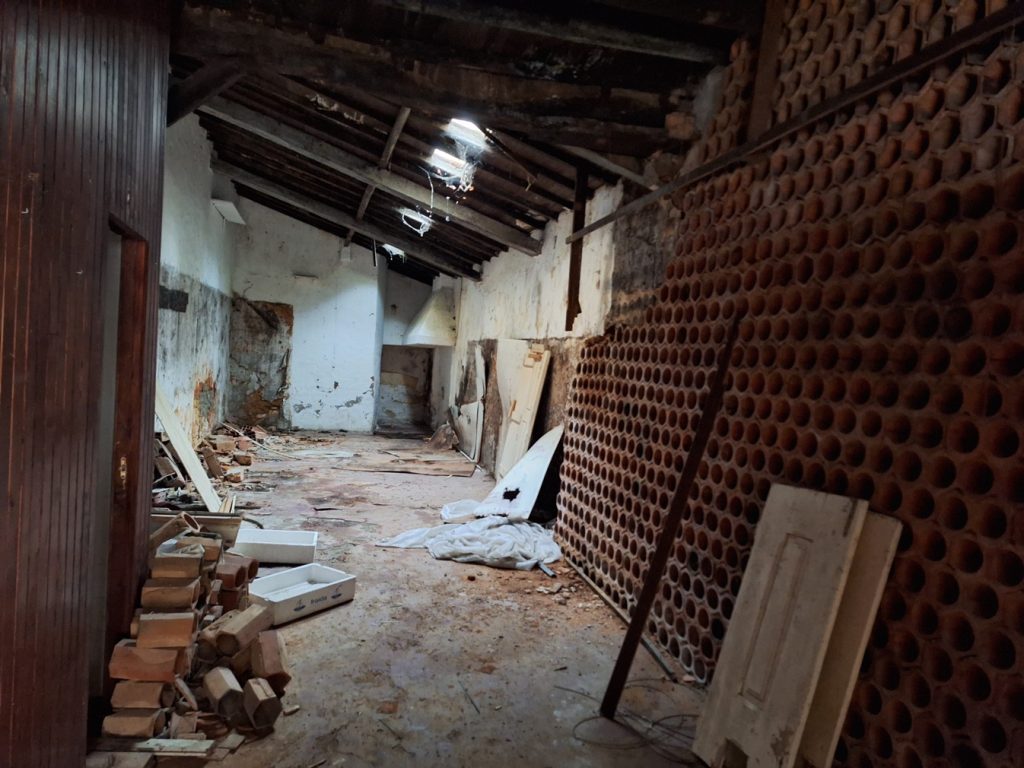 casa das ratas 20250414 084236