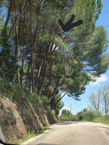Perigo na estrada de Casal Pinheiro casal pinheiro 1901862137331419 868464409396828663 n