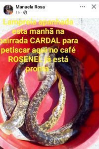 Dia 1 de abril com mentiras para todos os gostos ment Screenshot 20250401 110835 Facebook