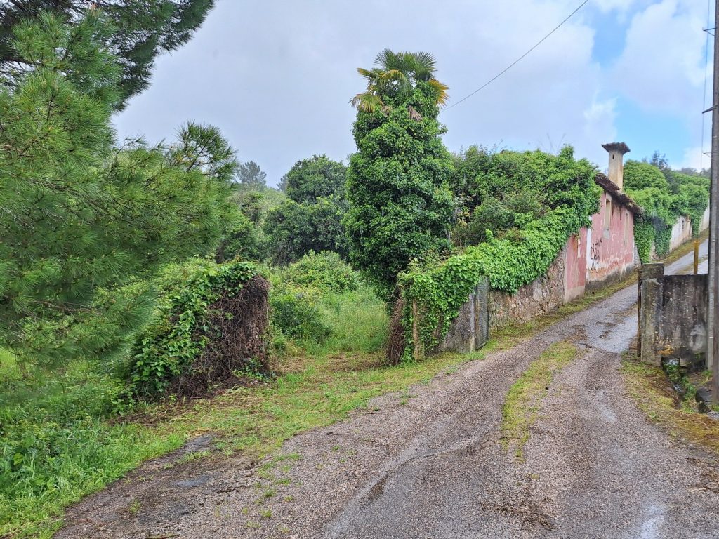 quinta do vale pereiro 20250419 102607
