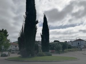 Tomar tem mais de 20 rotundas só na cidade rotunda IMG 20240701 093619