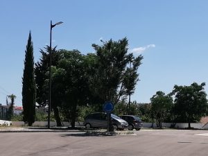 Tomar tem mais de 20 rotundas só na cidade rotunda IMG 20240701 152828