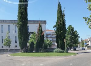 Tomar tem mais de 20 rotundas só na cidade rotunda IMG 20240701 164355
