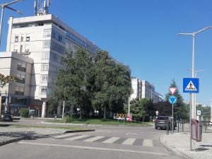 Tomar tem mais de 20 rotundas só na cidade rotunda IMG 20240702 101206