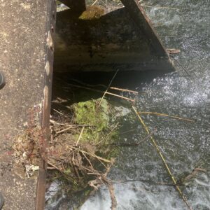Lixo acumula-se no açude de pedra acude IMG 20250514 WA0003
