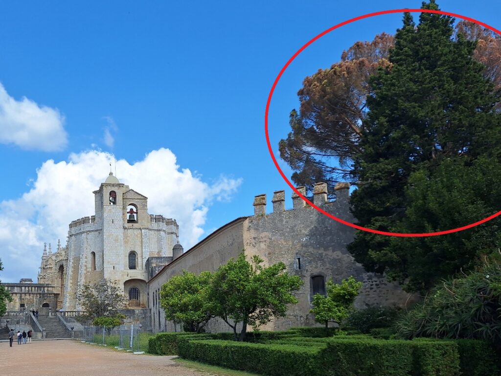 convento charola 20250511 102128 Copia