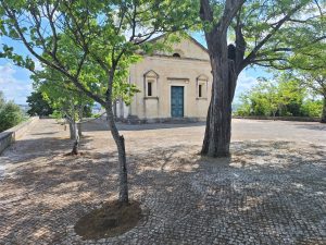 Ermida Nª Srª da Conceição: Convento limpa, câmara não ermida 20250511 103938