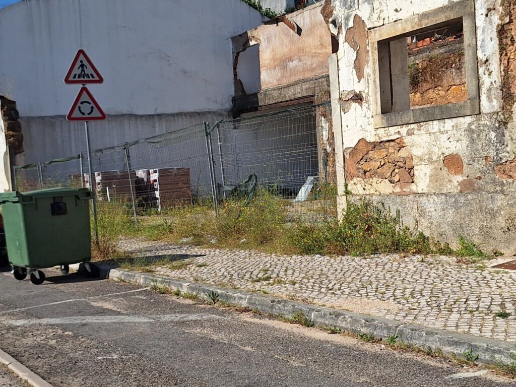 Ervas invadem passeio da av. António de Fonseca Simões ervas 20250526 091922