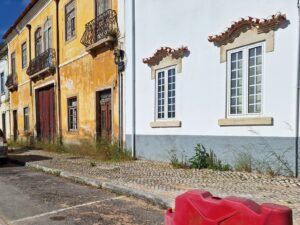 Ervas invadem passeio da av. António de Fonseca Simões ervas 20250526 091927
