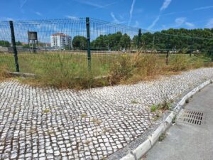 Ervas invadem passeio da av. António de Fonseca Simões ervas 20250526 143605