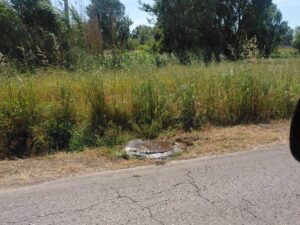 Descargas de esgotos em Casal Jorge continuam (c/ vídeo) esgotos 0 ff99 40d9 909e adc3cf4fada2