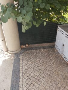 Ratos e maus cheiros em edifício abandonado IMG 20250610 WA0013